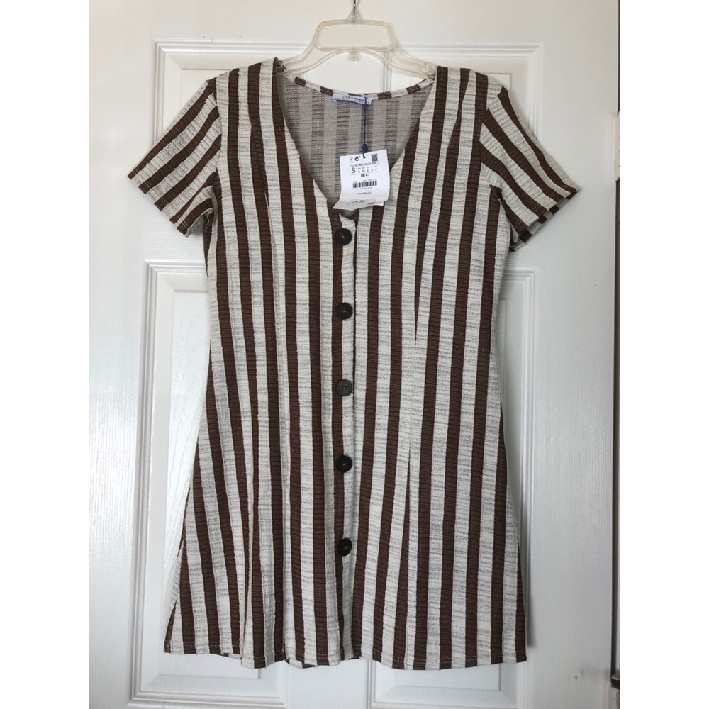Striped Dress (Zara)